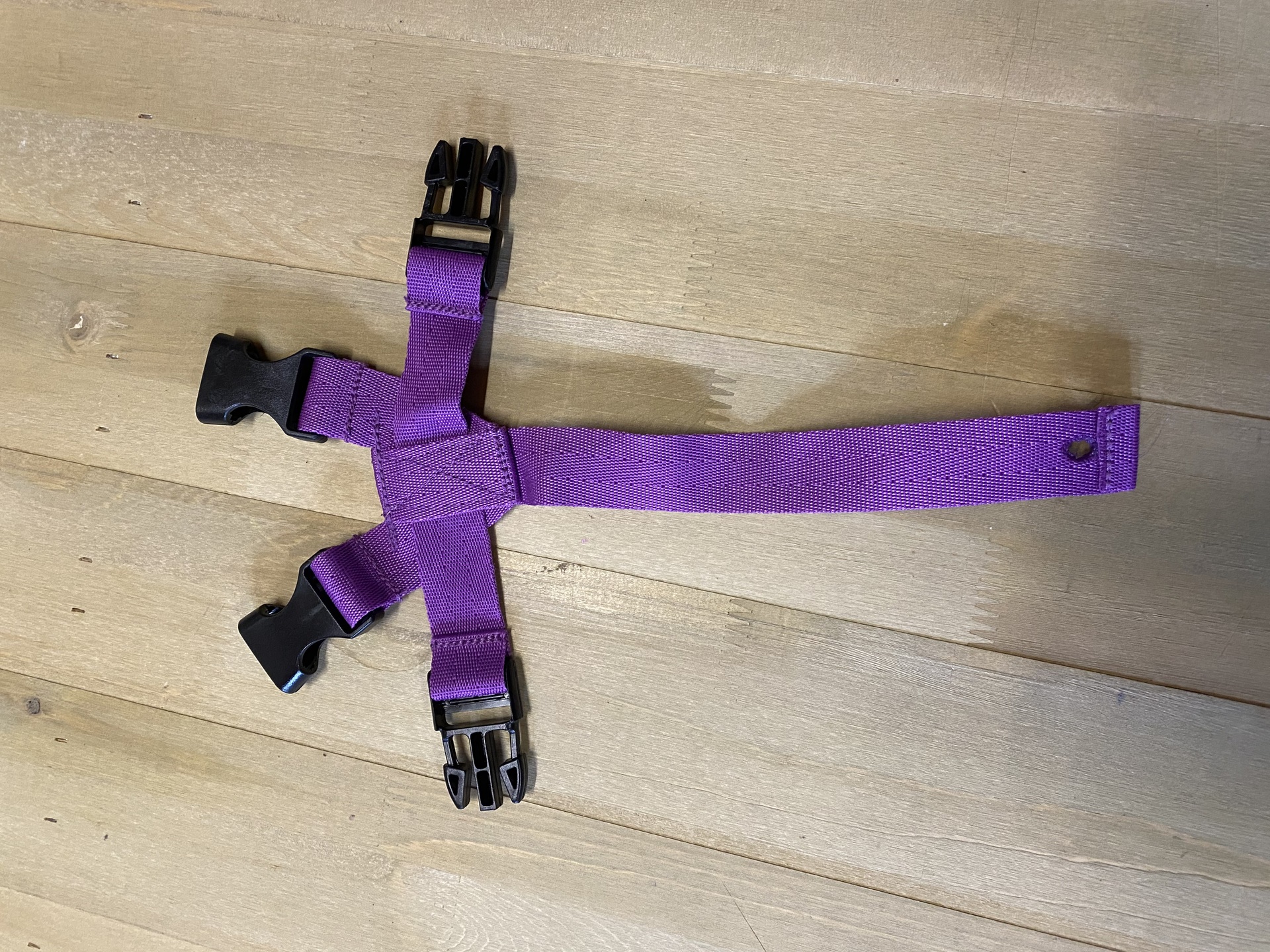 5 Point Harness Image