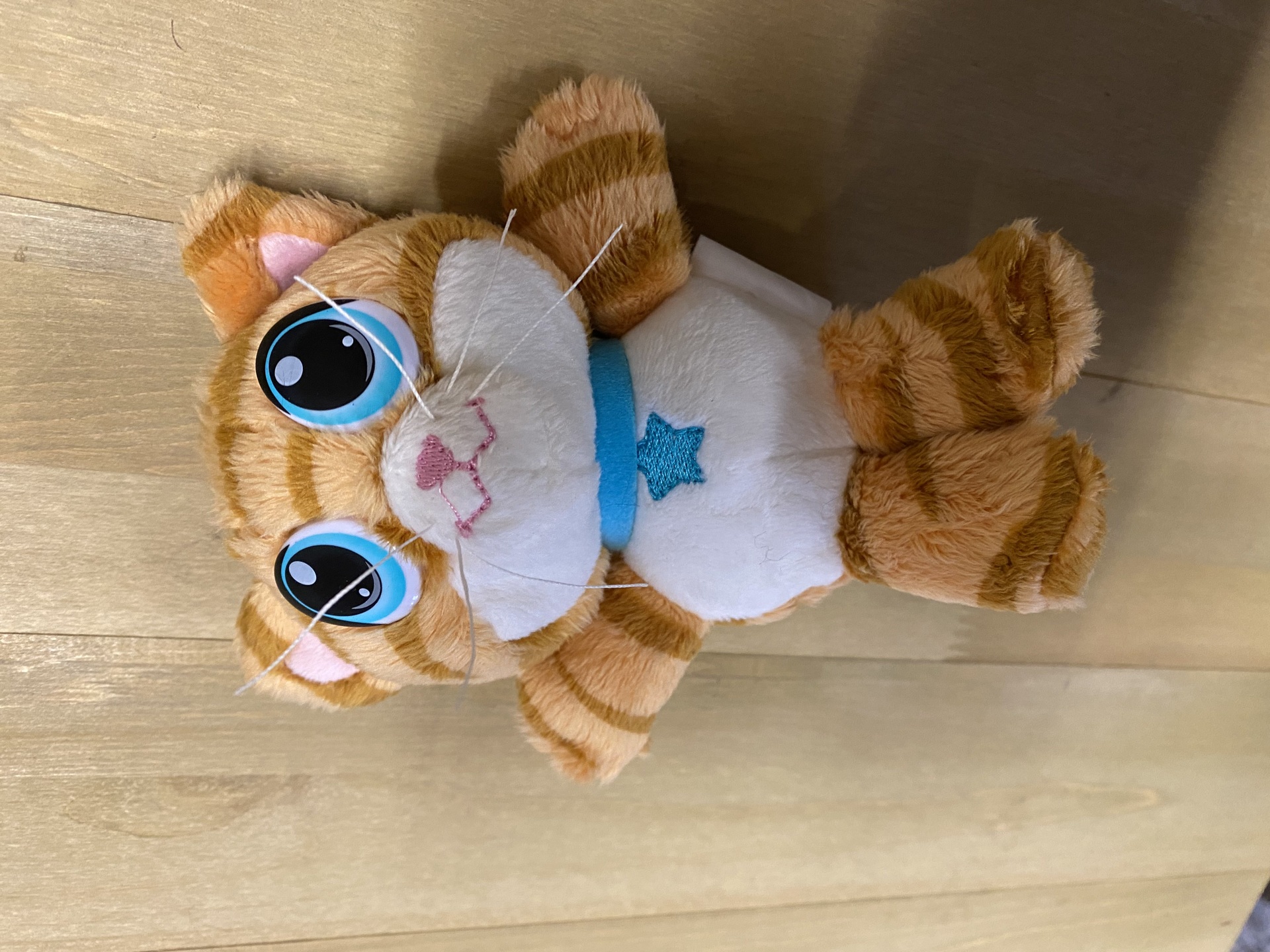 Plush Cat  Image